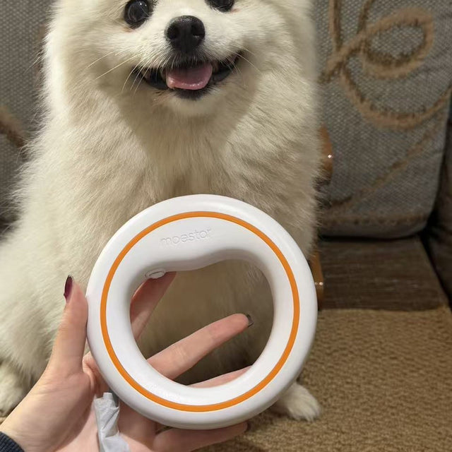 Customer photo: Pomeranian with moestar UFO leash
