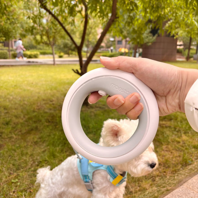 Customer photo: West Highland terrier with the moestar UFO leash
