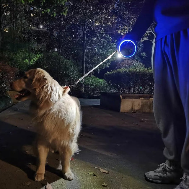 Customer photo: night walk with the UFO leash lit blue