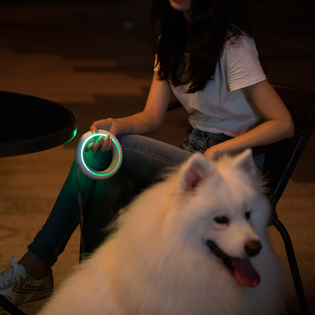 UFO Einziehbare Leine